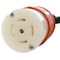 Ac Works SOOW Extension Cord, 10 AWG, Indoor/Outdoor, 10/5, 1 Outlets, L22-30R, Black, Rubber, L22-30P L2230PR-010 - alternate 4